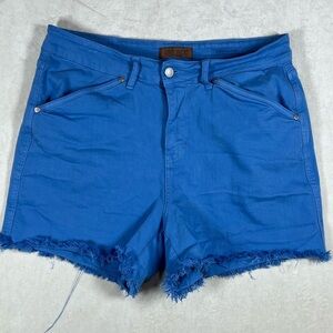 Judy Blue 1X Vibrant Blue Frayed Hem Blue Jean Shorts Dyed Garment